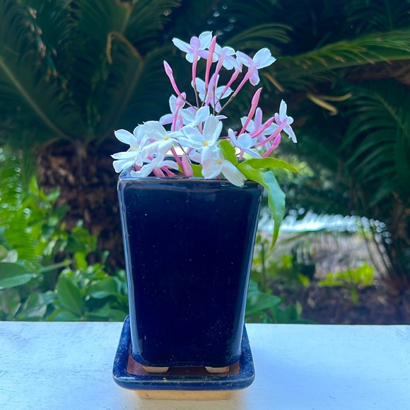 Vintage Glazed Ceramic Pot with Saucer - Picture 4 of 16